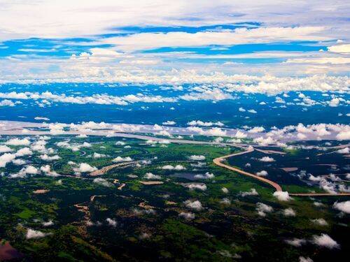 Prawdziwe koszty wycinania puszczy amazońskiej