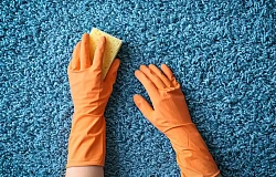 Jak skutecznie czyścić dywany w firmie?